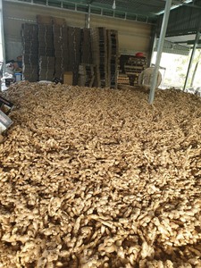 ขิงแห้งออร์แกนิกแบบแผ่นคุณภาพสูงสำหรับส่งออก - Product Image 5