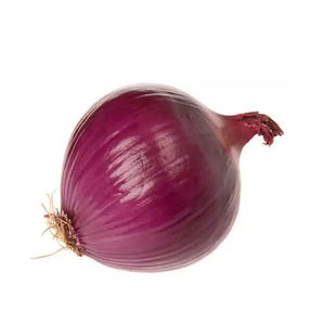 Oignon frais rouge / oignon doré de haute qualité au meilleur prix - Product Image 3