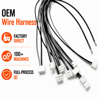 Kabel Terminal Pre-Crimped TE AMP CT Kompatibel, Kabel Tahan Suhu Tinggi UL10109 24AWG, OEM Custom