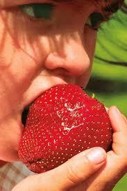Semi di 400 importati semi di fragola giganti rari e semi di fragola sudamericana