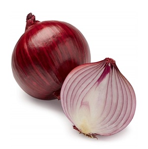Oignon frais biologique non pelé d'Autriche, taille 20 cm, disponible pour la vente en gros, prix avantageux, assurance qualité pour le commerce de transformation alimentaire - Product Image 1