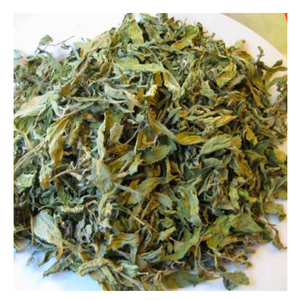 ใบหญ้าหวานแท้ ความหวานสูง ใบหญ้าหวานปลอดจีเอ็มโอ มาตรฐานออร์แกนิก สำหรับการขายส่งและจำหน่ายทั่วโลก - Product Image 5