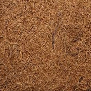 Fibra de coco natural de alta calidad para colchones, cepillos, cuerdas, esteras para cultivo, fibra de coco para mantillo, venta al por mayor de La India - Product Image 4