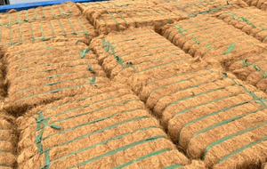 Material de Fibra de Coco Ecológico de Vietnam, Apto para la Producción de Cuerdas, Alfombras, Colchones y Artesanías - Product Image 6
