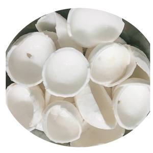 Carne de coco congelada más vendida con cubos IQF en rodajas de 99 Gold Data Vietnam - Product Image 5