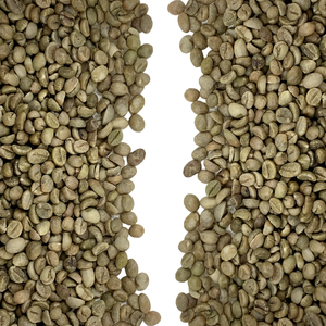 เมล็ดกาแฟโรบัสต้าสีเขียว S16เวียดนามรสชาติเข้มข้นทำจากธรรมชาติผลิตขึ้นเอง - Product Image 3