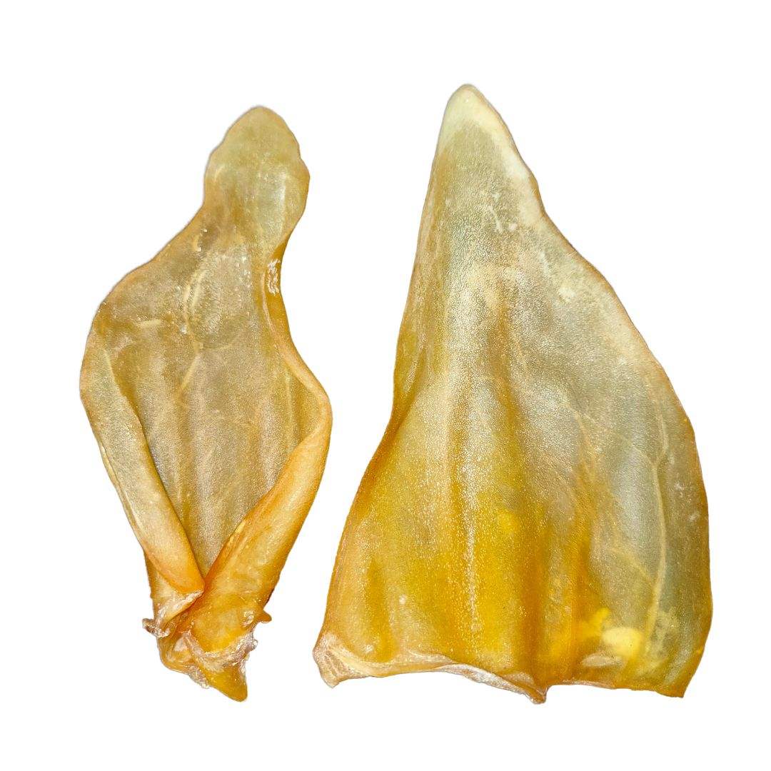 ธรรมชาติ