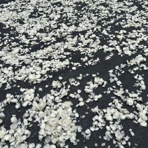 สารสกัดจากคอลลาเจนปลานิลแห้งจากโรงงานเวียดนาม - Product Image 4