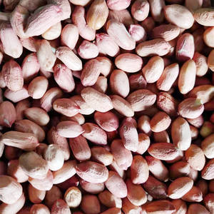 Cacahuetes crudos con piel a la venta - Product Image 3