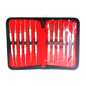 Juego de instrumentos de relleno Dental de alta calidad, 12 Uds., Kit de herramientas de Odontología de acero inoxidable, juego dental, instrumentos quirúrgicos - Product Image 1