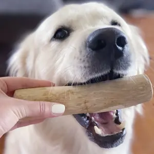 चमकदार मुस्कान: कॉफ़ी वुड डॉग च्यूज़: आपके कुत्ते की सबसे चमकदार मुस्कान के लिए!