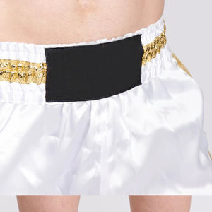 Nouveauté 2026 – Short de boxe Muay Thai MMA personnalisé en gros, vêtement d'arts martiaux, option frontale, respirant, séchage rapide, unisexe, 100 % polyester - Product Image 2