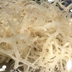 สาหร่ายทะเลมอสทะเลแบบระบายความร้อนในฤดูร้อนผลิตในเวียดนาม - Product Image 3