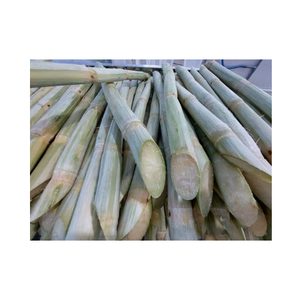 อ้อยน้ําตาลแช่แข็งที่ดีที่สุดของเวียดนาม: จากฟาร์มไปยังโต๊ะของคุณโดยตรง - Product Image 1