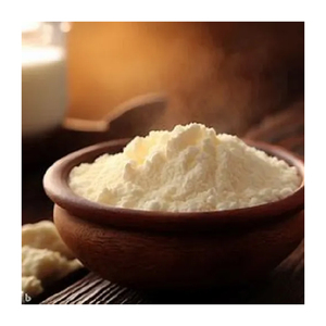 Meilleur prix du marché Herbojit International Poudre de fromage en poudre naturelle séchée par atomisation Qualité supérieure 100% naturelle Additifs alimentaires de qualité fiable - Product Image 1