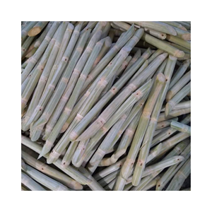 Jugo de Caña de Azúcar Congelado de Vietnam, Proveedor de Caña de Azúcar al Mejor Precio/ Productos Destacados Más Vendidos 2026 - Product Image 1