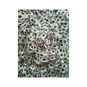 Exportation indienne de meilleure qualité, vente en gros, 10:1, extrait de graine d'oleifera, riche en protéines - Product Image 5