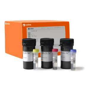 Kit de etiquetado mínimo Amersham CyDye DIGE Fluor (2 Nmol) Producto de plástico OEM personalizable - Product Image 1