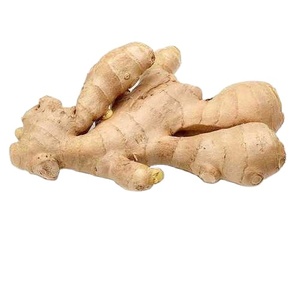 Gingembre frais de qualité supérieure Légumes thaïlandais de haute qualité Gingembre frais en carton - Product Image 5
