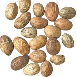 Amra Pod Jarrón seco Rellenos Plantas decorativas Popurri para el hogar o la oficina Diseño floral elegante para uso en interiores - Product Image 1