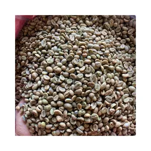 Produto de café de feijão verde orgânico Produto de feijão de café premium verde - Robusta de feijão verde pronto para exportar por atacado a granel