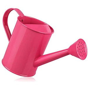 Arrosoir en métal de créateur avec finition revêtue de zinc et long bec verseur adapté à l'arrosage facile des plantes d'intérieur - Product Image 3