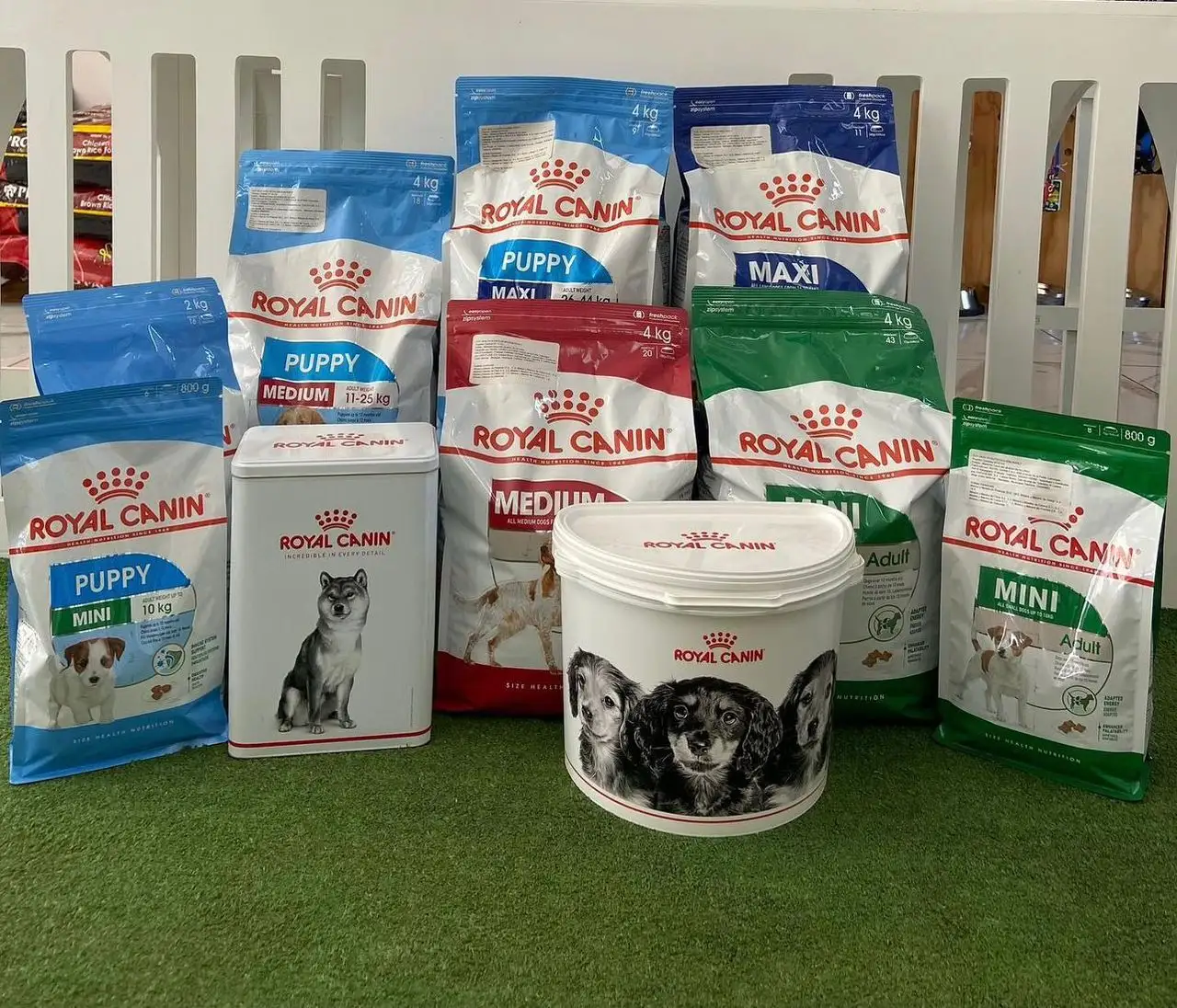 2023 mejor calidad Royal Canin comida para perros y gatos exportadores de comida seca para perros/Royal Canin Fit 32 gatos secos