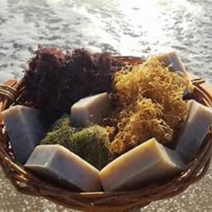 Savon de mousse de mer du Vietnam de haute qualité au meilleur prix - Product Image 6