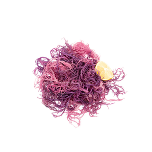 Wild Purple Sun Dried Dried Seamoss Premium Irish Eucheuma Cottonii <b>Seaweed</b> For Gel Dried Seamoss Natural Powder Bulk Supply - Product Image 2
