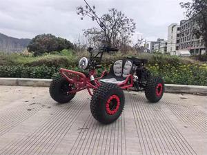 Brand New Factory Direct 3-Year Warranty DIY Gasoline Powered 208cc <b>Single</b> Seat Adult <b>Buggi</b>-G-KT 35 Km/h Offs'-Rd Kart - Product Image 4