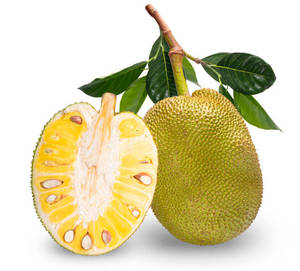 Jackfruit mûr congelé du Vietnam, chair jaune douce, pelé et sans pépins, qualité d'exportation, fruit tropical - Product Image 1