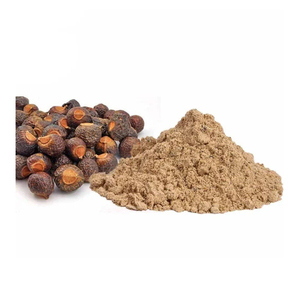 OEM/ODM Mejor Precio Más Vendido Polvo de Reetha 100% Puro Natural Orgánico Extracto Herbal para el Crecimiento del Cabello - Product Image 6