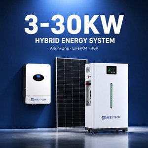 <span class=keywords><strong>Inversor</strong></span> Solar Híbrido 3KW 15KW 30KW 48V con Batería LiFePO4, Sistema Todo en Uno, <span class=keywords><strong>Inversor</strong></span> Híbrido 10KW 110/220v para Uso Residencial - Product Image 6