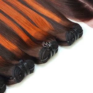 Genius Weft Luxury Vietnamese Raw Virgin Hair Super Bone Straight Silky Piano Style Extensiones de cabello humano alineadas con cutícula - Product Image 4
