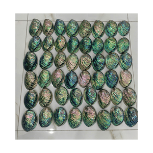 Vente en gros de haute qualité en cristal de coquille d'ormeau poli naturel coquillage artisanal coquille de perle décoration de la maison - Product Image 4