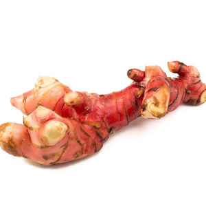 โรงงานเวียดนามจัดหาโดยตรงผลไม้ใหม่ราก Galangal สดทั้งราก Galangal - Product Image 1