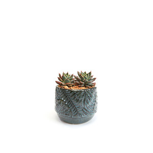 CYC3308BL - Bol en forme de fougère bleu azur lavé, très grand format - 7,8 L x 6,5 H - Product Image 5