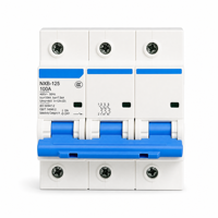 Disjoncteur miniature CHINT NXB-125 1P, disjoncteur modulaire, protection contre les surcharges et les courts-circuits pour tableau de distribution domestique