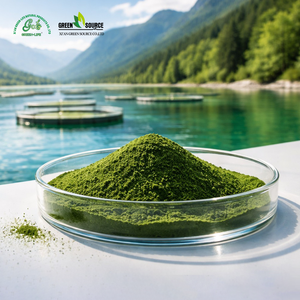Chlorella Orgánica <span class=keywords><strong>en</strong></span> <span class=keywords><strong>Polvo</strong></span> 100% Pura con Pared Celular Rota, Superalimento Verde, Alto <span class=keywords><strong>en</strong></span> Proteínas, Apoyo Detox, Suministro <span class=keywords><strong>a</strong></span> Granel de Fábrica China - Product Image 5