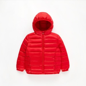Chaqueta acolchada de invierno de buen diseño, ropa de hombre 2025 de alta calidad para hombre, ropa informal, chaquetas de burbujas de alta calidad - Product Image 2