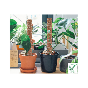 Poteaux en fibre de coco écologiques - Support naturel pour les plantes Monstera et les plantes grimpantes - Product Image 1