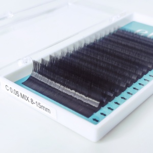 Extensions de cils simples faits à la main Premium de haute qualité 8-15mm d'épaisseur Logo personnalisé coloré épais faux cils boîte CC - Product Image 4