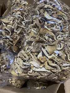 Champignons de la mer séchés du Vietnam, qualité supérieure, prêts à l'exportation // Mme Sophie - Product Image 6