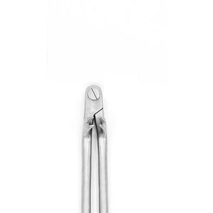 Handcrafted Stainless Steel <b>Dental</b> <b>Equipment</b> Manual Root Extraction Forceps for Veterinary Use CE Certified Class II - Product Image 2