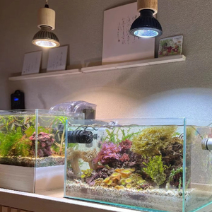 Susanoo ไฟ LED กันน้ำ10W คุณภาพสูงระดับ11000K 16000K CT ฐาน E26สำหรับพิพิธภัณฑ์สัตว์น้ำและสวนขวด - Product Image 1