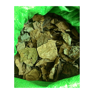 GREEN GRASS JELLY/Idéal pour boire en été/Du Vietnam avec une qualité supérieure et un prix compétitif - Product Image 5