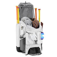 Sac de baseball de haute qualité, grande capacité, pour usage extérieur, imperméable, fabriqué par un fabricant professionnel