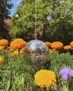 Wittolins Stainless Steel <b>Disco</b> <b>Ball</b> Style Globe by king international - Product Image 4