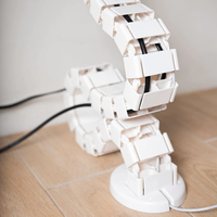 Goulotte de gestion de câbles verticale en plastique réglable en hauteur, en forme de serpent, pour ordinateur de bureau sous le bureau, pour bureau assis-debout