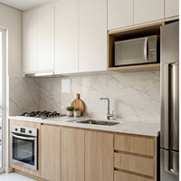 Pemesanan Grosir Lemari Dapur PET untuk Pengembang Real Estat, Apartemen, Proyek Hotel, dan Proyek Teknik